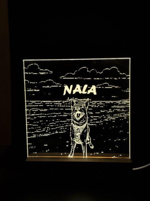 Lámpara Personalizada LED - Image 4